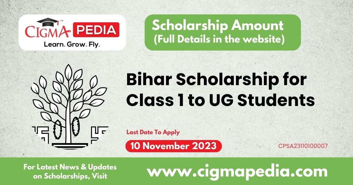 Bihar Scholarship 2023 for Class 1 to UG Courses : Application Link