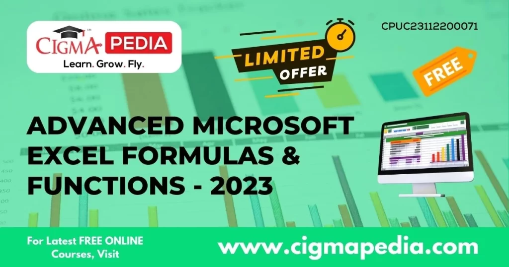 Advanced Microsoft Excel Formulas & Functions - 2023