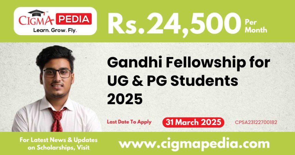 Gandhi Fellowship