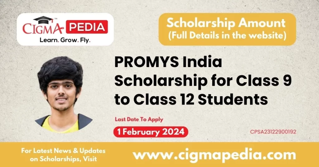 PROMYS India Scholarship