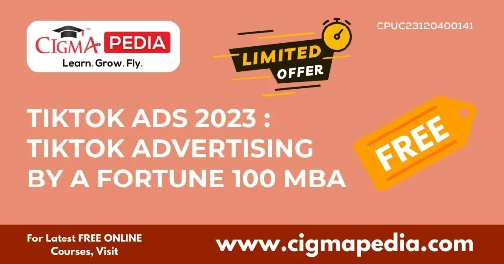 TikTok Ads 2023 TikTok Advertising by a Fortune 100 MBA