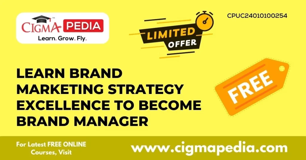 Learn Brand Marketing Strategy Excellence to become Brand Manager