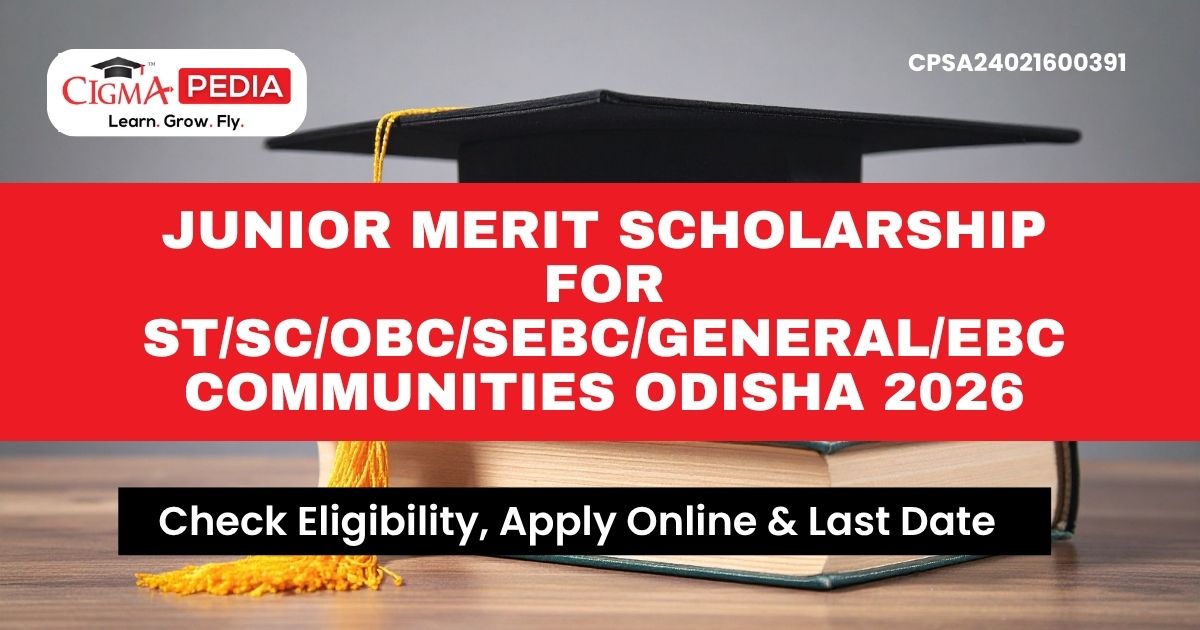 Junior Merit Scholarship