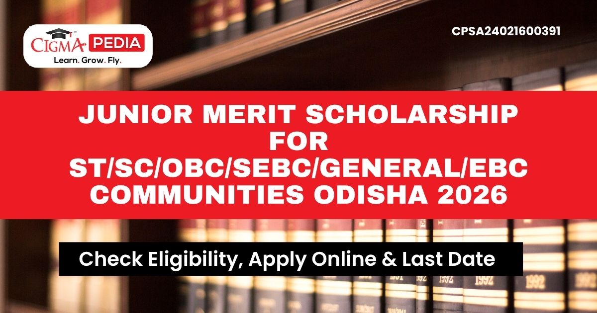 Junior Merit Scholarship