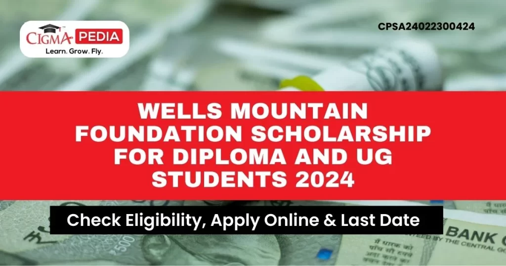 Wells Mountain Foundation Scholarship for Diploma and UG Students 2024