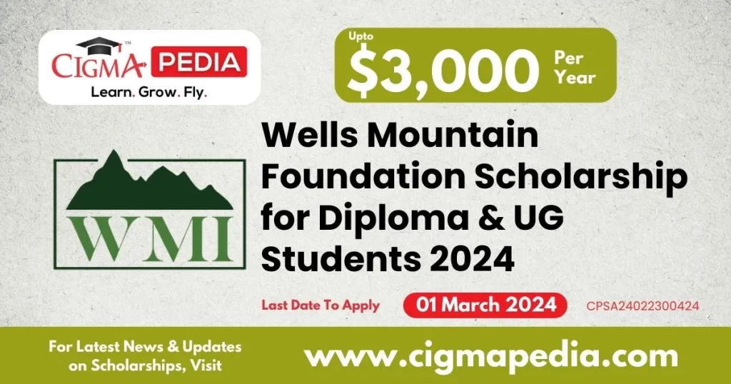 Wells Mountain Foundation Scholarship for Diploma and UG Students 2024