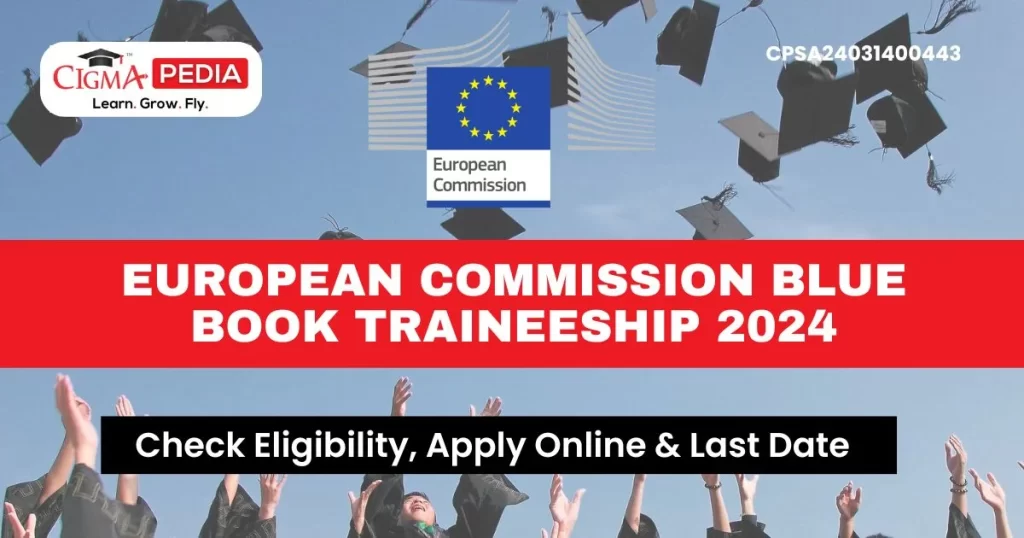 European Commission Blue Book Traineeship 2024