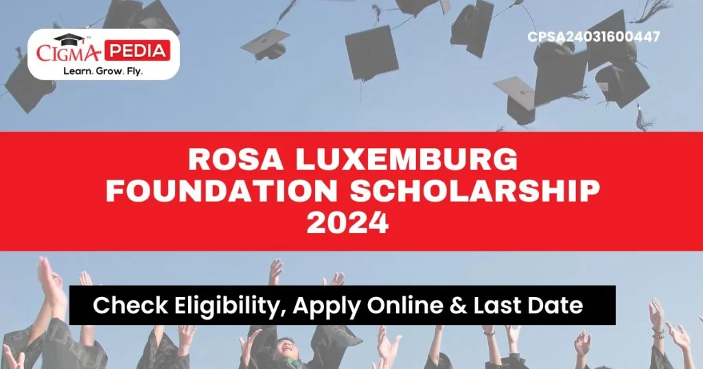 Rosa Luxemburg Foundation Scholarship 2024 