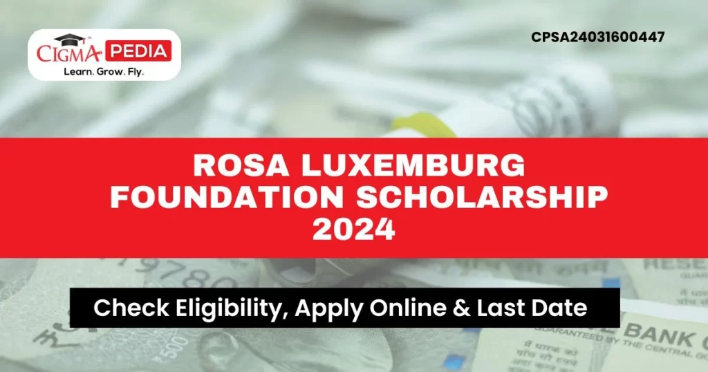 Rosa Luxemburg Foundation Scholarship 2024 