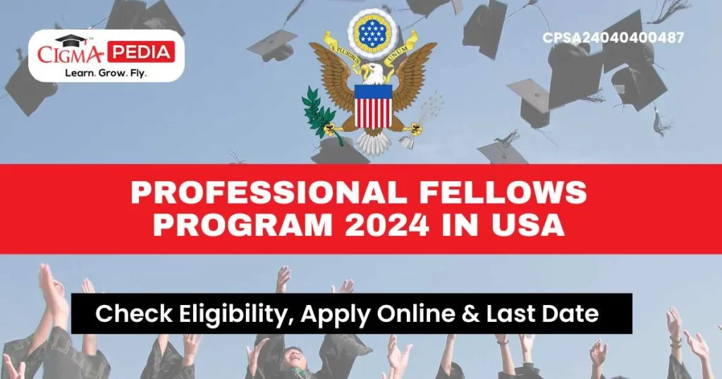 Professional Fellows Program 2024 in USA