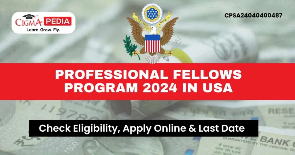 Professional Fellows Program 2024 in USA