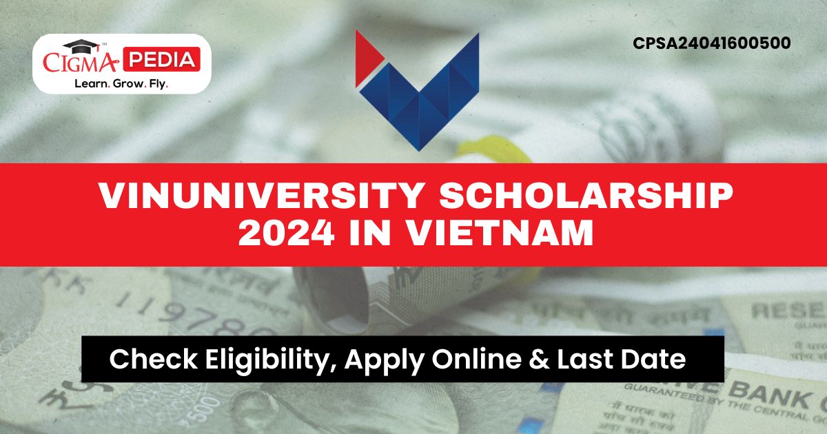 VinUniversity Scholarship 2024