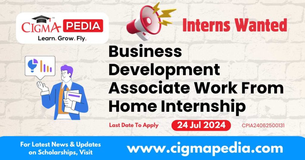 Business Development Associate Work From Home Internship