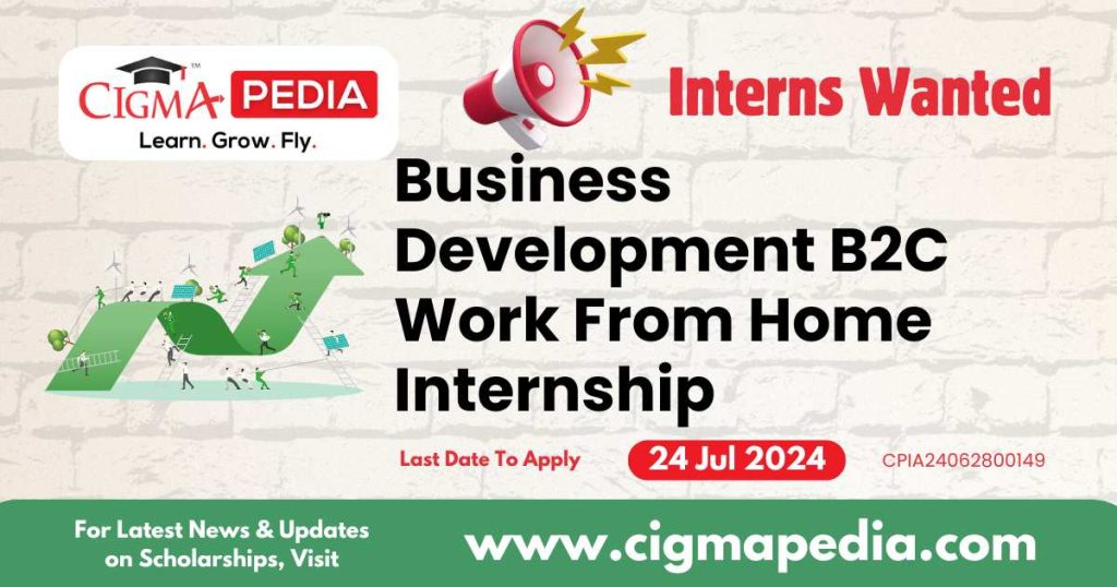 Business Development B2C Work From Home Internship