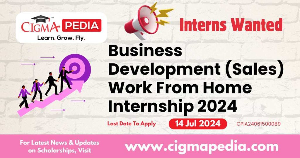 Business Development (Sales) Work From Home Internship 2024