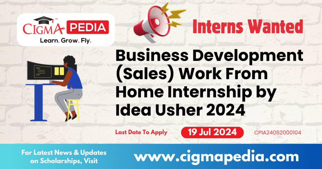 Business Development (Sales) Work From Home Internship by Idea Usher 2024