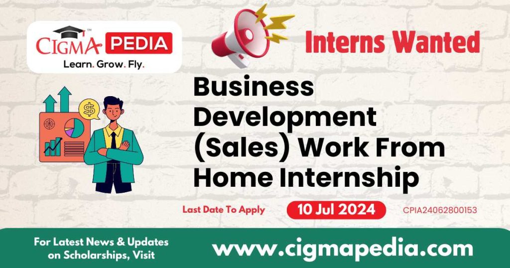 Business Development (Sales) Work From Home Part Time Internship by Junior Robo Innovations