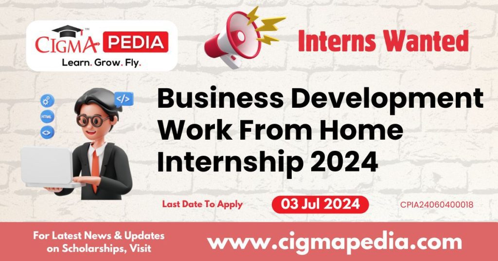 Business Development work from home Internship