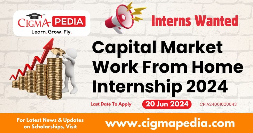 Capital Market Internship 2024 Internship