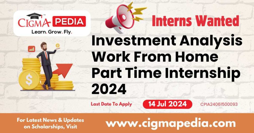 Investment Analysis Work From Home Part Time Internship 2024