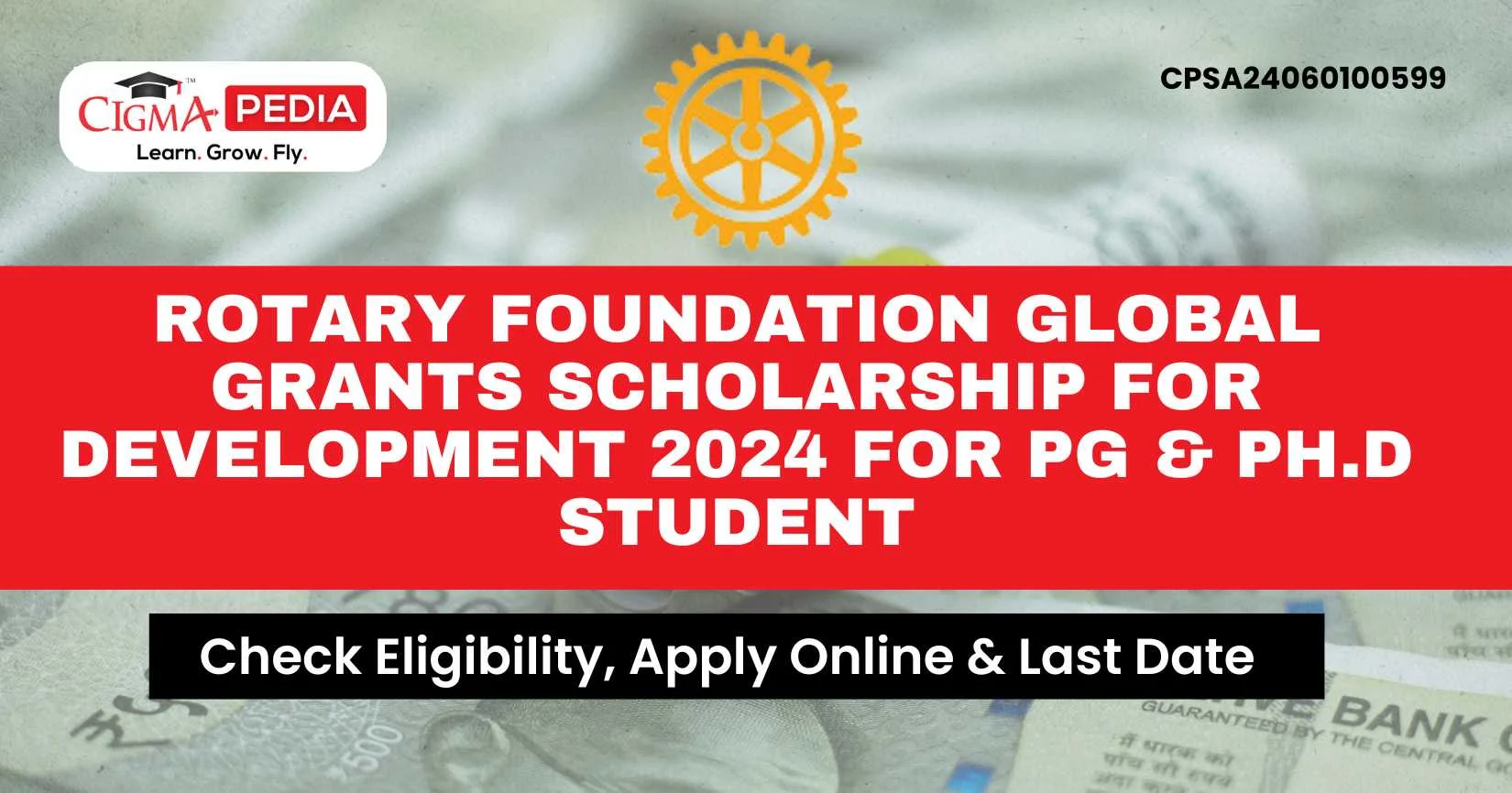 Rotary Foundation Global Grants Scholarship 2024