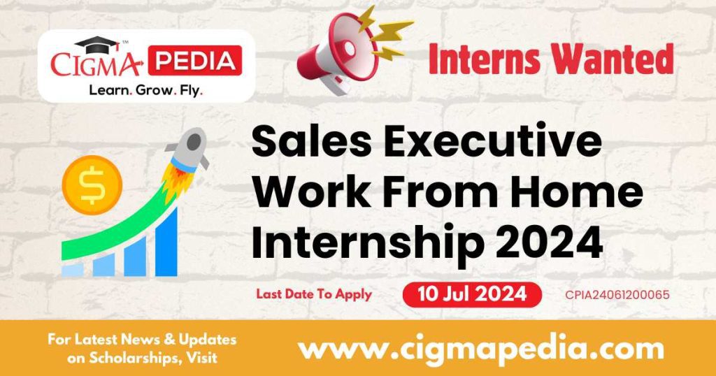 Sales Executive Internhship