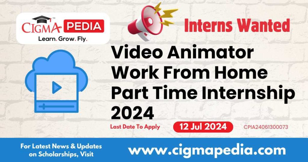 Vedio Animator work from home internship