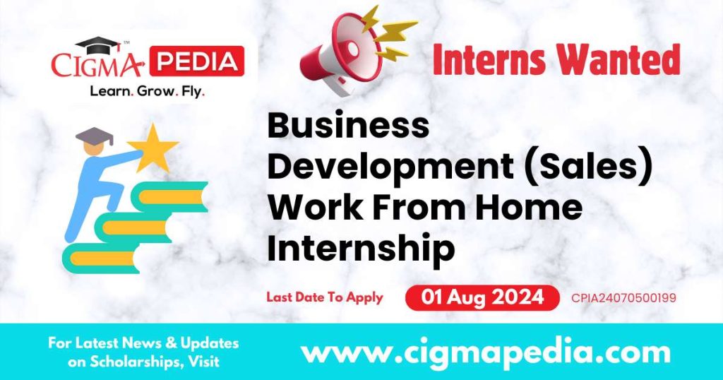 Business Development (Sales) Work From Home Internship