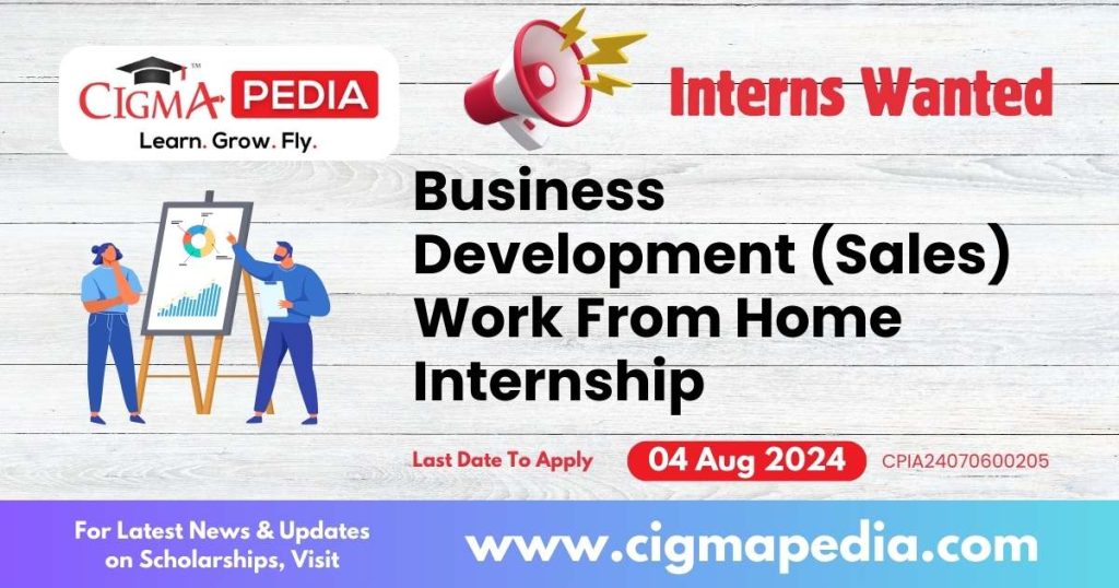 Business Development (Sales) Work From Home Internship