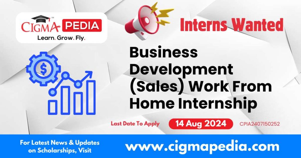 Business Development (Sales) Work From Home Internship by AB Overseas 2024