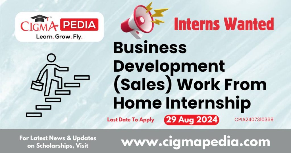 Business Development (Sales) Work From Home Internship by Panchmukhi Technology 2024