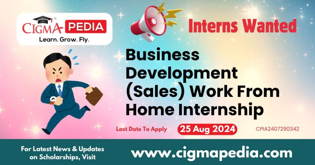 Business Development (Sales) Work From Home Internship by Rutecho IT Solution 2024