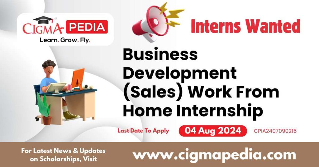 Business Development (Sales) Work From Home Internship by Scaling Socials 2024