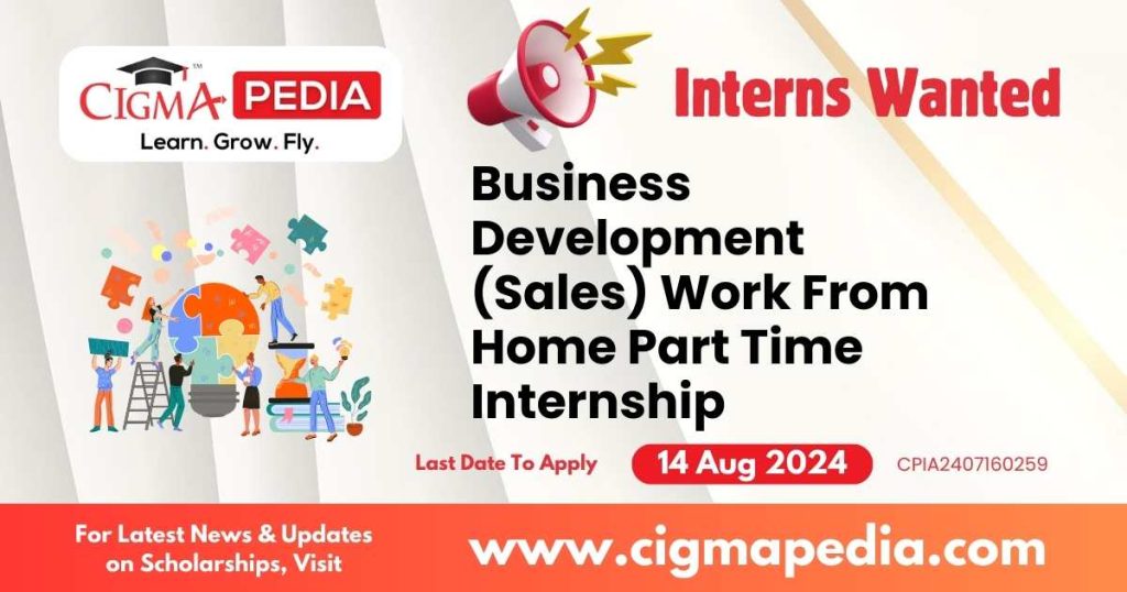 Business Development (Sales) Work From Home Part Time Internship by Callous Web Private Limited 2024