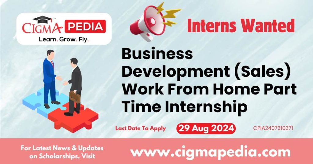 Business Development (Sales) Work From Home Part Time Internship by Larn Learning Solutions 2024