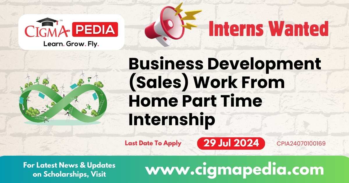 Business Development Sales Work From Home Part Time Internship By