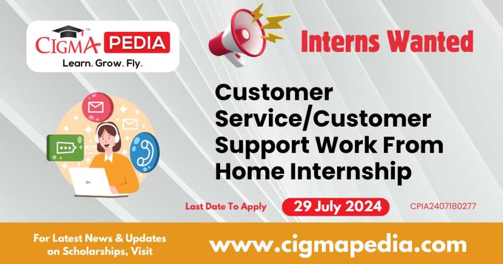 Customer Service/Customer Support Work From Home Internship by InstaWP