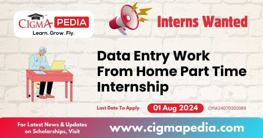 Data Entry Work From Home Part Time Internship by EXCELLENTSOUND TECHNOLOGIES PRIVATE LIMITED