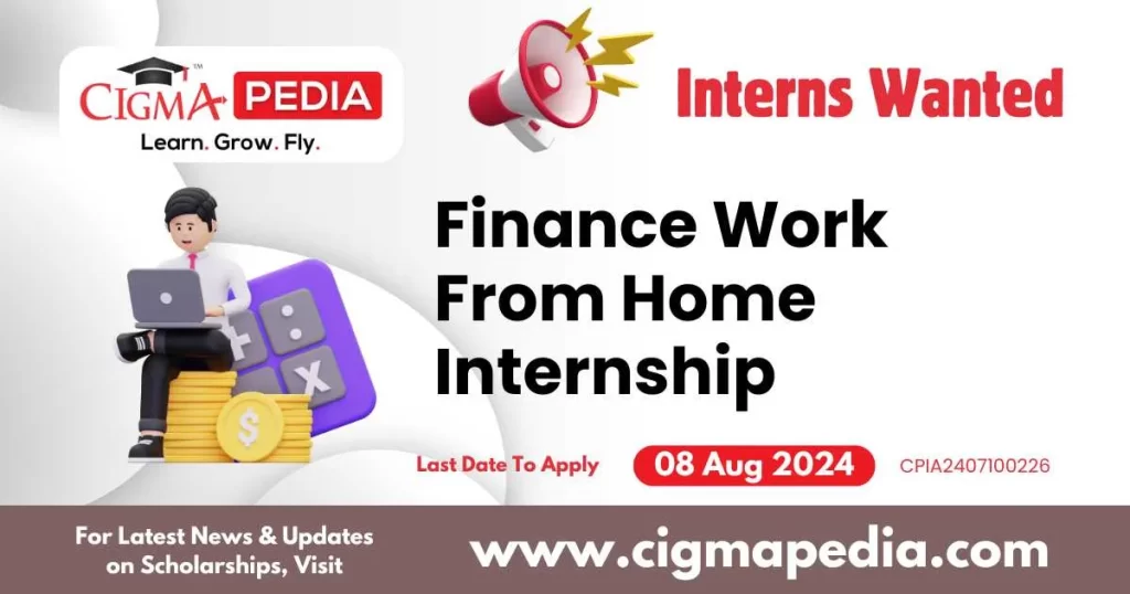 Finance Work From Home Internship by One's Own Financer