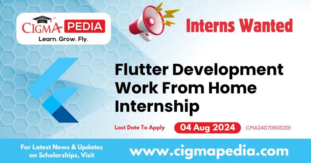 Flutter Development Work From Home Internship