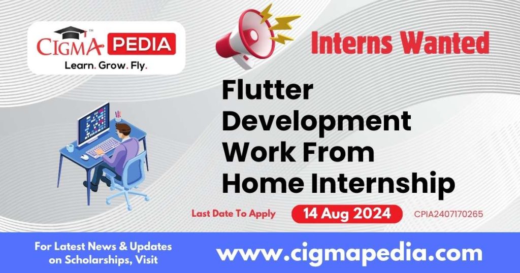 Flutter Development Work From Home Internship by SoftEzi Solutions LLP 2024