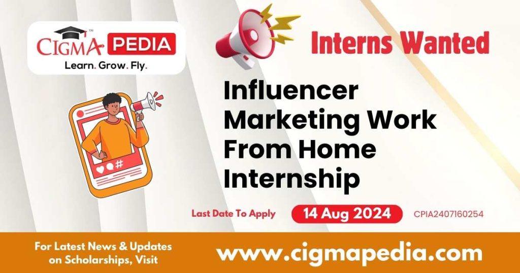 Influencer Marketing Work From Home Internship by AB Overseas 2024