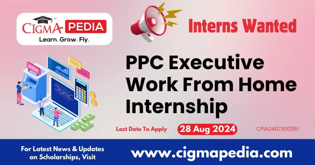 PPC Executive Work From Home Internship by Quantum IT Innovation