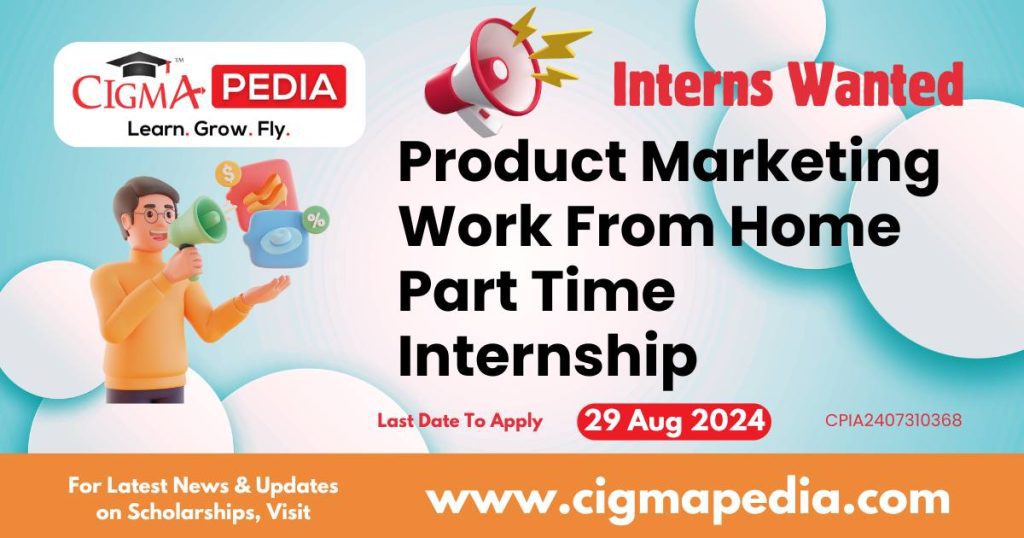 Product Marketing Work From Home Part Time Internship by Pawzz 2024