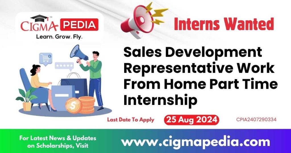 Sales Development Representative Work From Home Part Time Internship by Intugine Technologies Private Limited