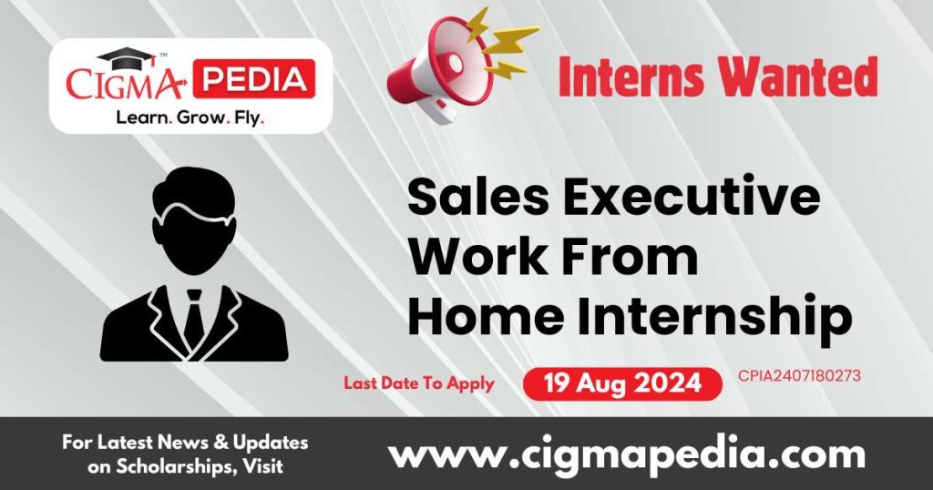 Sales Executive Work From Home Internship by Roshni Real Estate Consultants 2024