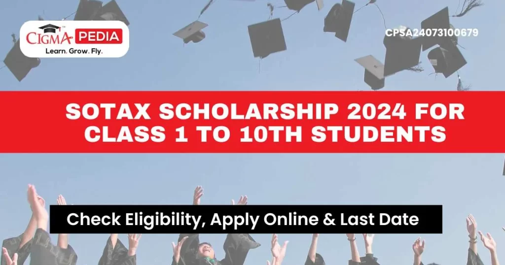 Sotax Scholarship 2024