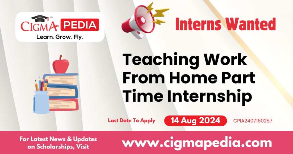 Teaching Work From Home Part Time Internship by Ace Coders