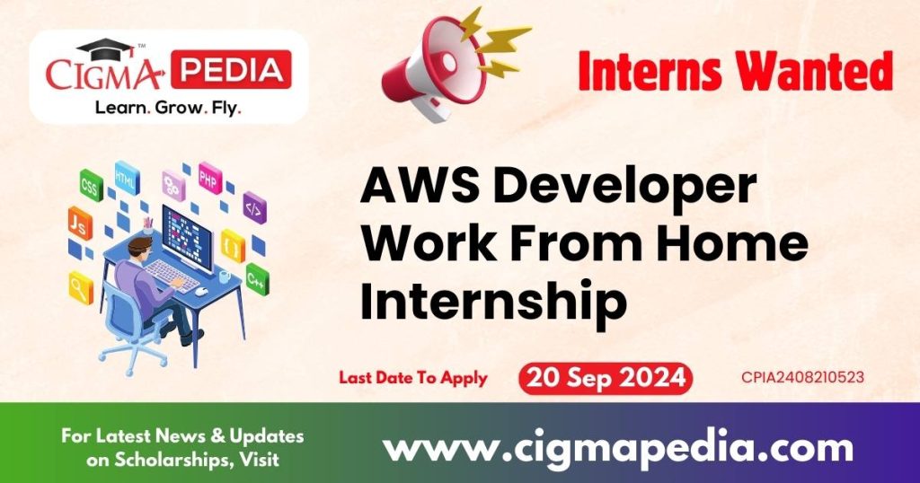 AWS Developer Work From Home Internship by Request IT Support