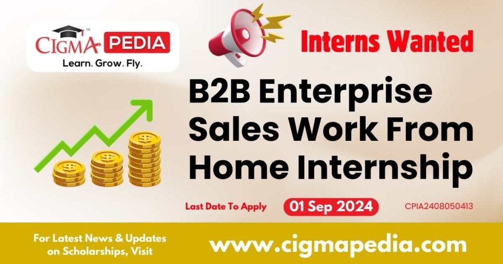 B2B Enterprise Sales Work From Home Internship by AntWalk